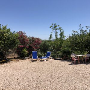 FBF5C0B2-0003-43BD-84E5-FEADEF26418D